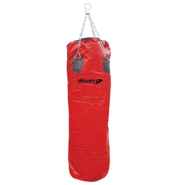 BOXING RING & PUNCHING BAG